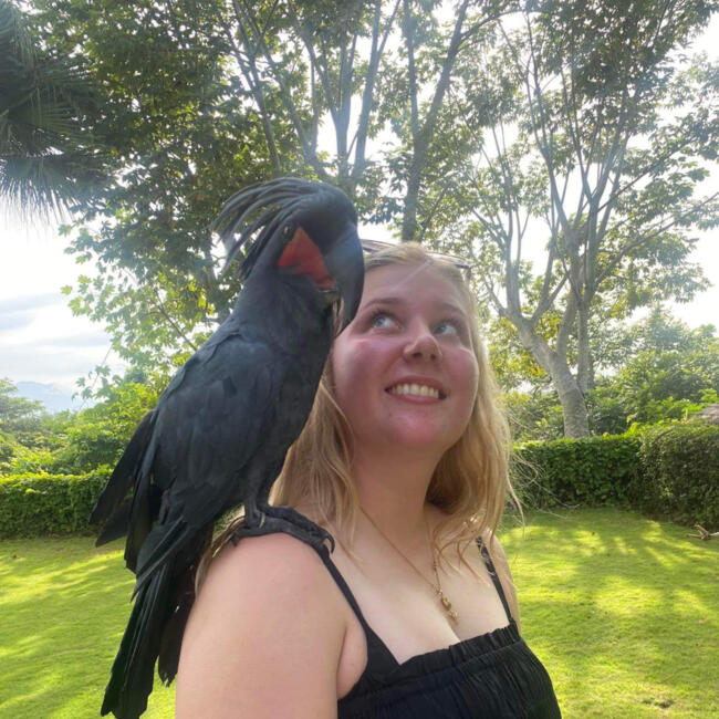 Babysitter in Papamoa: Brooke