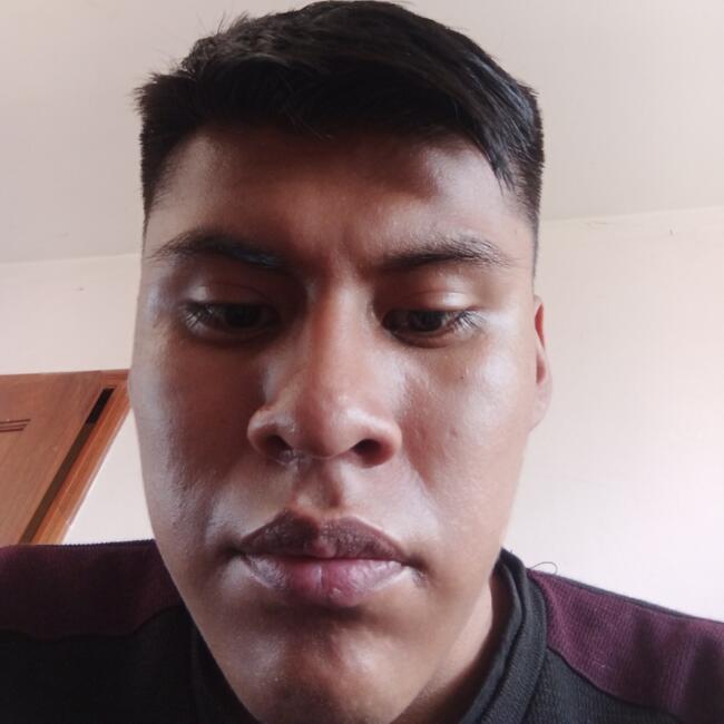 Babysitter in La Paz: Nelson Mijael