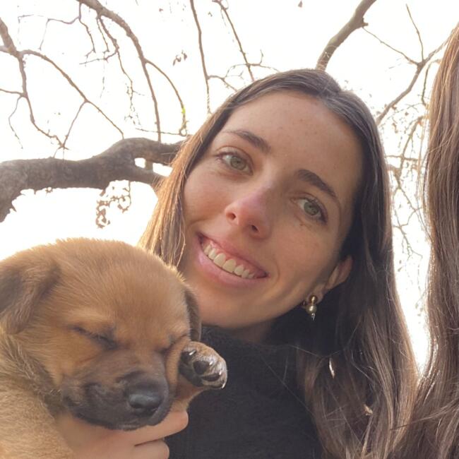 Babysitter in Concón: Francisca