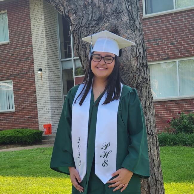 Babysitter in Wood River (Illinois): Genesis