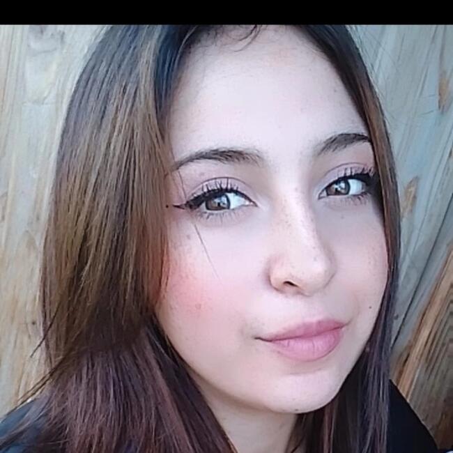 Babysitter in Temuco: Claudia