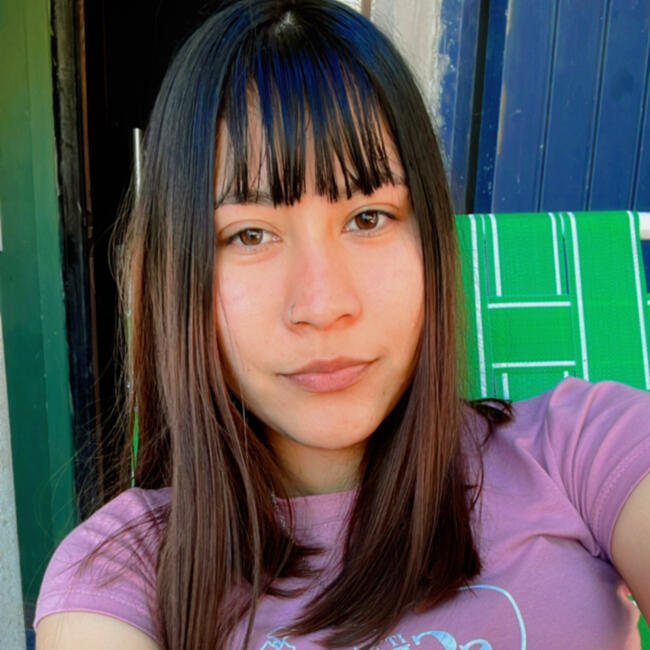 Babysitter in José C. Paz: Luz