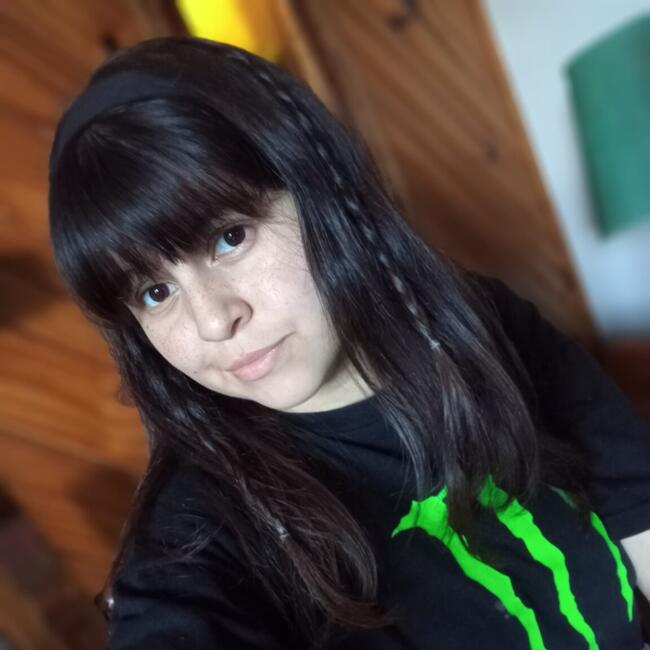 Babysitter in Mar del Plata: ERICA