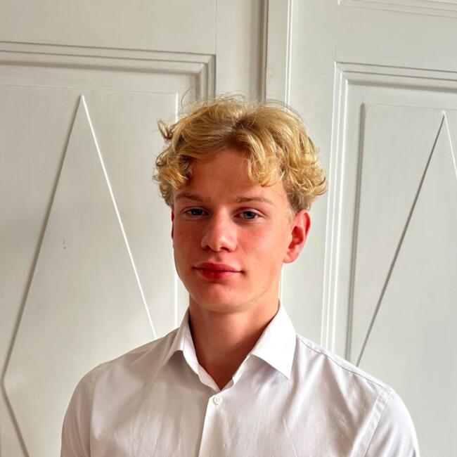 Babysitter in Vienna: Theodor