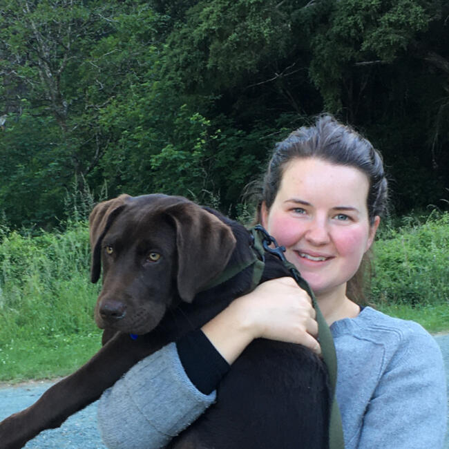 Babysitter in Nelson: Evie