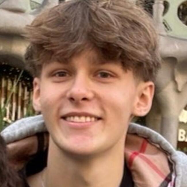 Babysitter in Montigny-le-Bretonneux: Nicolas