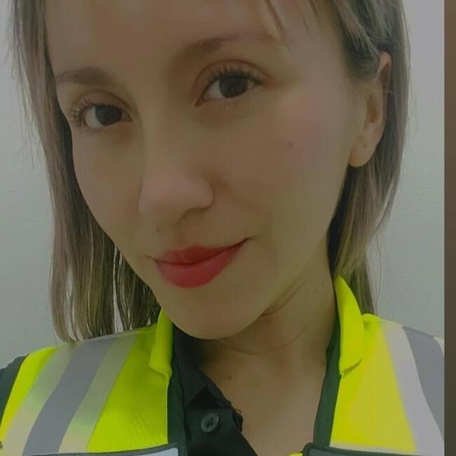 Babysitting job in Puente Alto: Ilsi