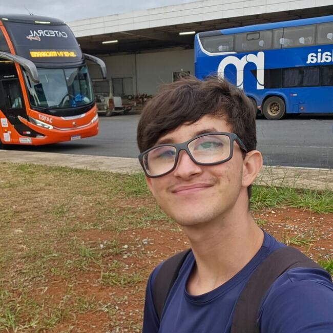 Babysitter in Catalão: Pedro