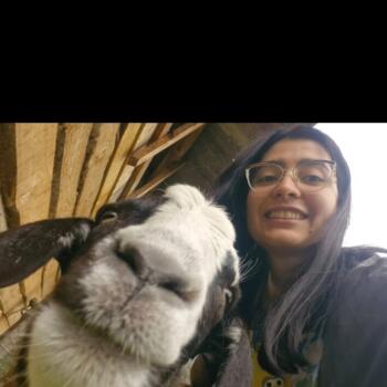 Babysitter in Puente Alto: Bren