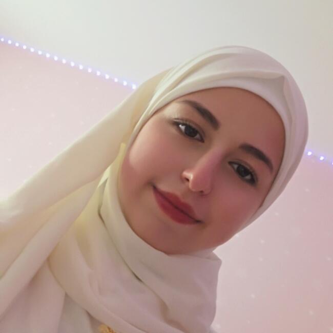 Babysitter in Ferrybank: Sidra Bashar