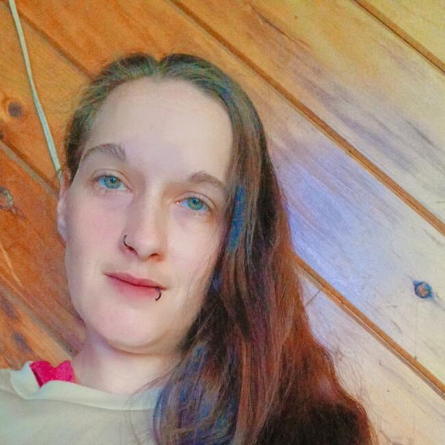 Babysitting job in Scranton: Crystal