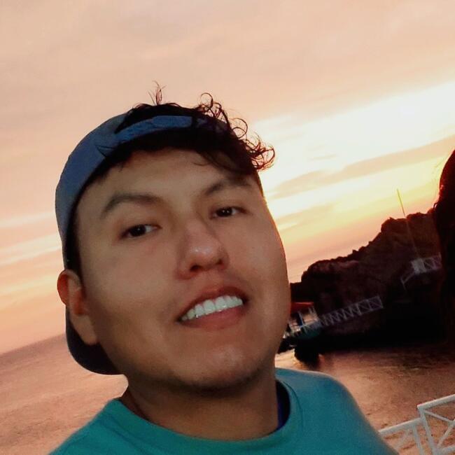 Babysitting job in Tacna: Luiz