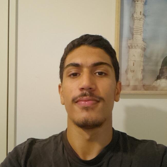 Babysitter in Sainte-Foy-lès-Lyon: Amine