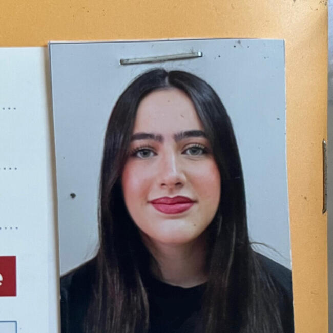 Babysitter in Nogent-sur-Marne: Colleen