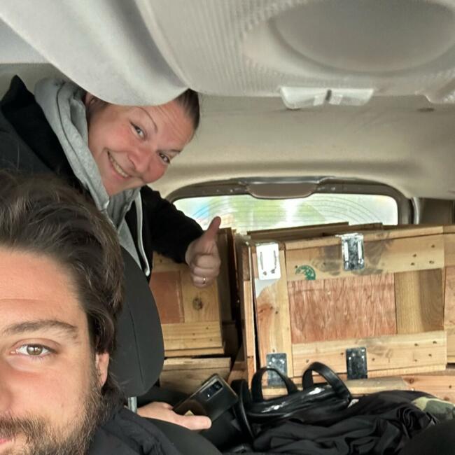 Babysitting job in Scorzè: Gianna