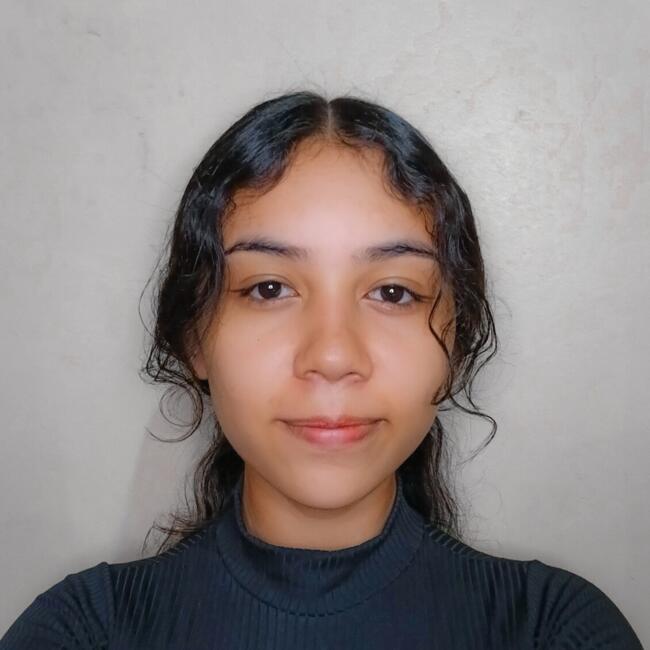 Babysitter in Abadia de Goiás: Wandra