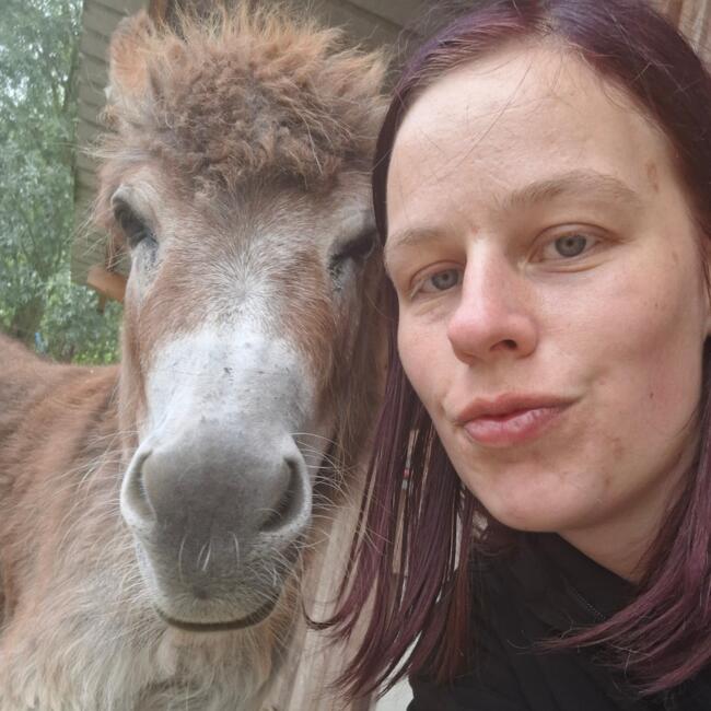 Babysitter in Wevelgem: Allison