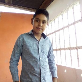 Niñera Zapopan: Comedion