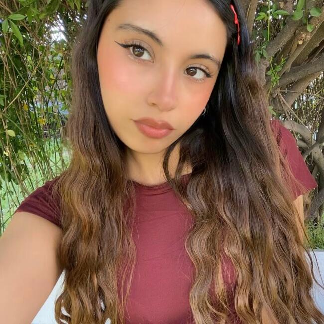 Babysitter in La Pintana: Francisca Ancapi