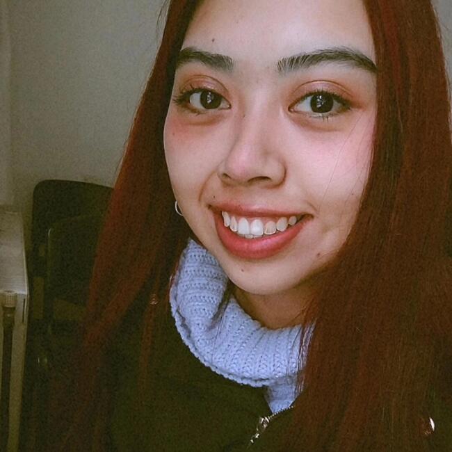 Babysitter in Temuco: Carla