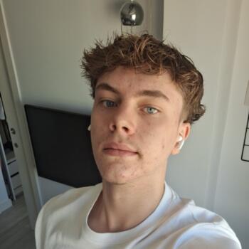 Canguro en Elche: Martin