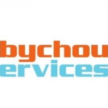 Childcare agency in Nice: Babychou Services