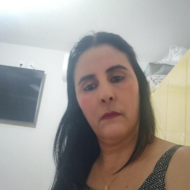Babysitter in Uberlândia: ROSILENE Pires