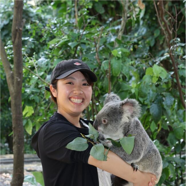 Babysitter in Brisbane: 綾香