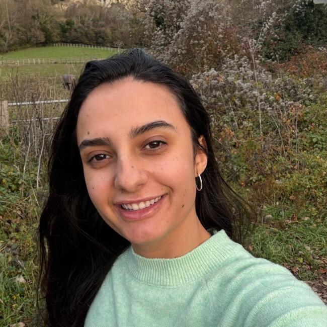 Babysitter em Kildare: Lara
