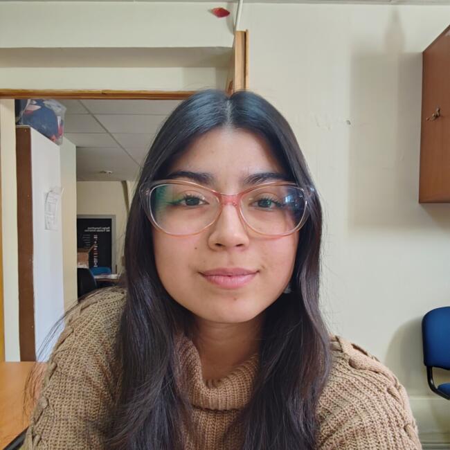 Babysitter in Punta Arenas: Francisca
