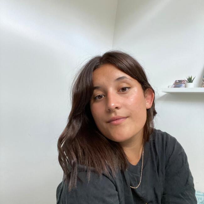 Babysitter in Saint-Jacques-de-la-Lande: Romane