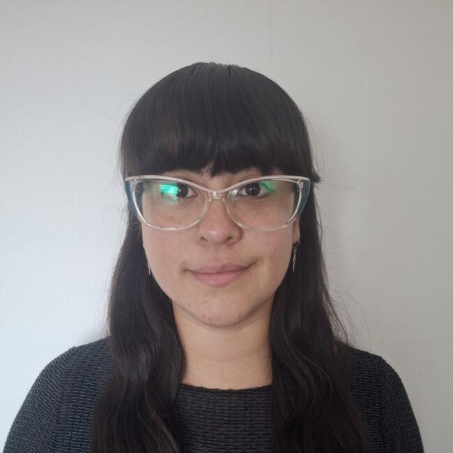 Niñera en La Florida: Evenes