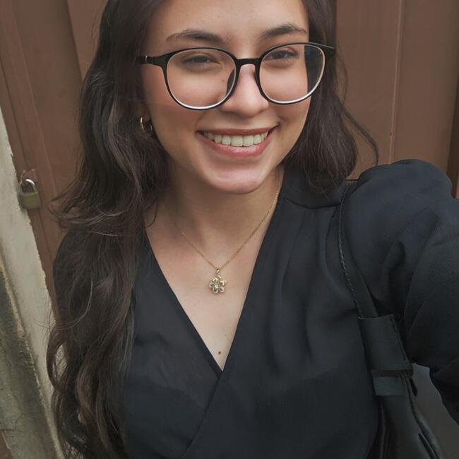 Babysitter in Uberlândia: Ana Flávia