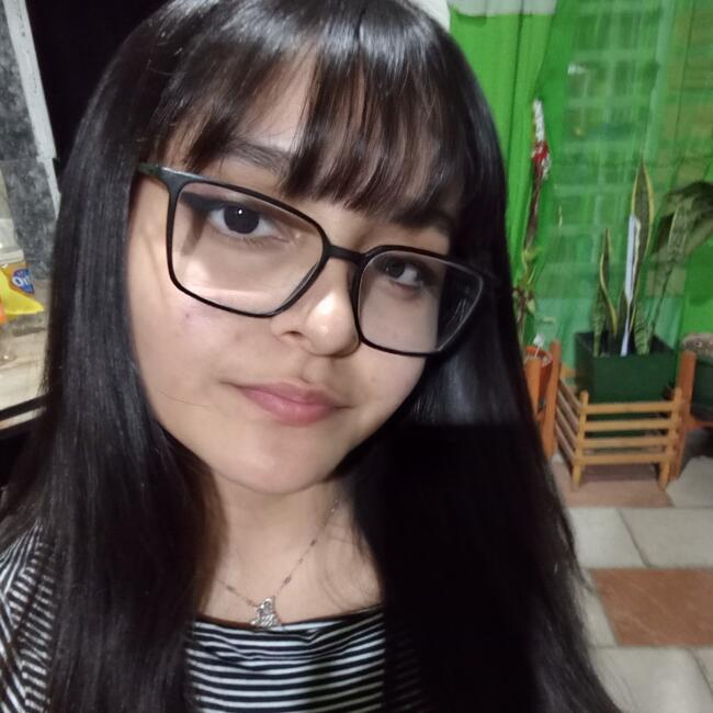 Babysitter in Centenario: Brisa