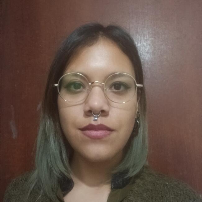 Babysitter in Puente Alto: Catalina