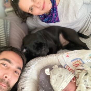 Babysitting job in Providencia: babysitting job Genaro