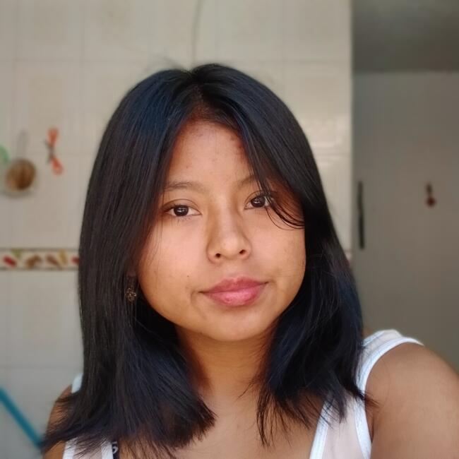 Niñera en Bogotá: Nerly yicela