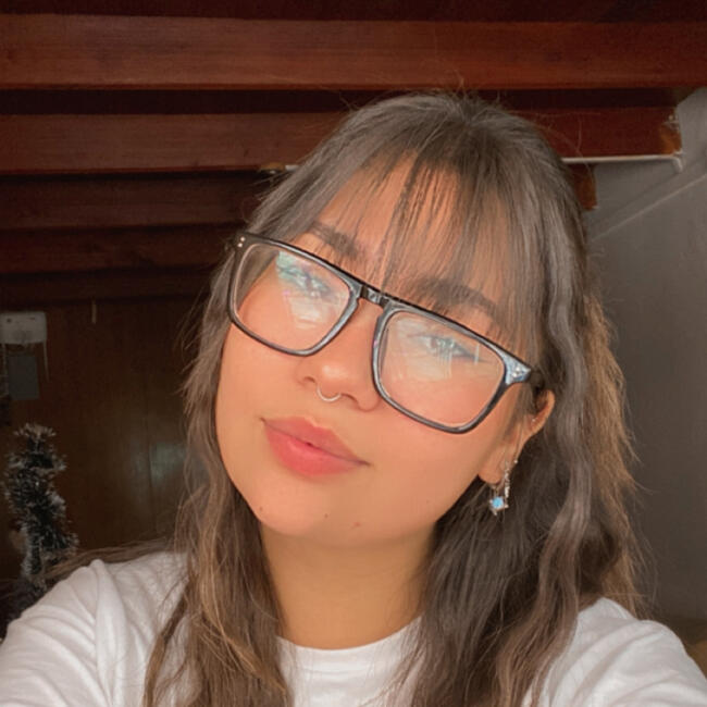 Babysitter in Temuco: Francisca