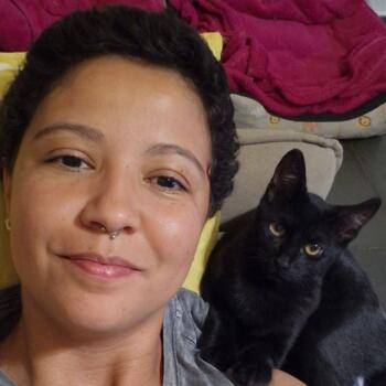 Babysitter in Campinas: Vanderleia