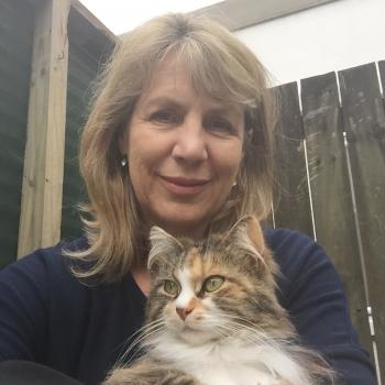 Eltern Tauranga: Babysitting Job Carol