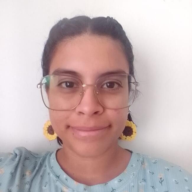 Babysitter in La Paz: Ana Isabel Diaz Guerrero