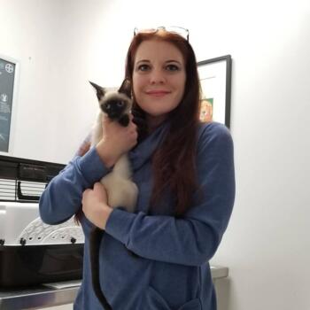 Babysitter in Statesville (North Carolina): Kelly