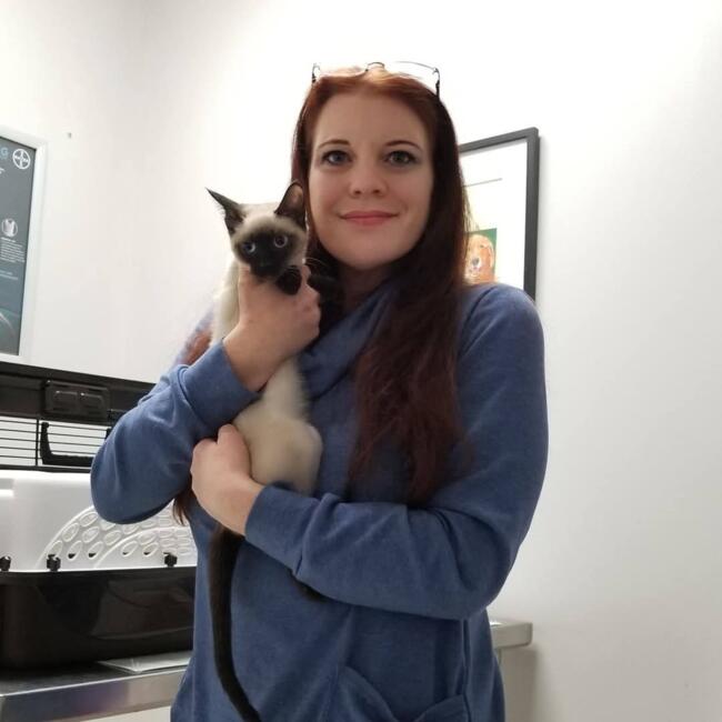 Babysitter in Statesville (North Carolina): Kelly