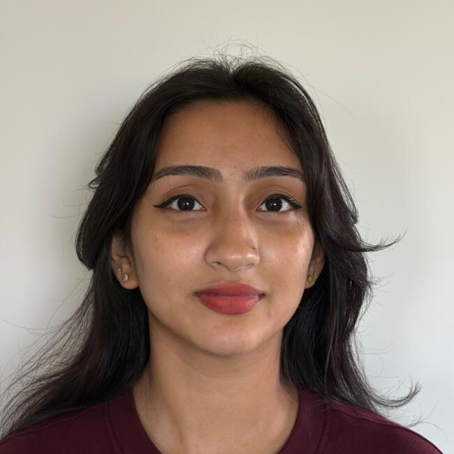 Babysitter in Dublin: Aneena