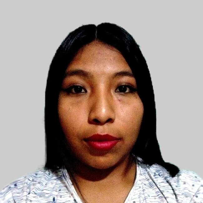 Babysitter in Quillacollo: Alejandra