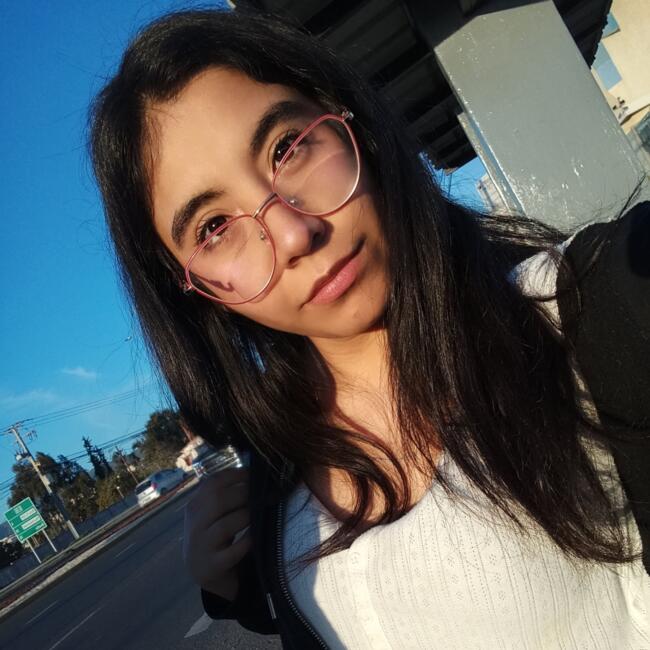 Babysitter in Port Montt: Alexia