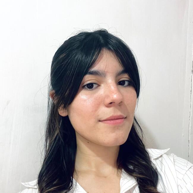 Babysitter in Rosario: Ludmila