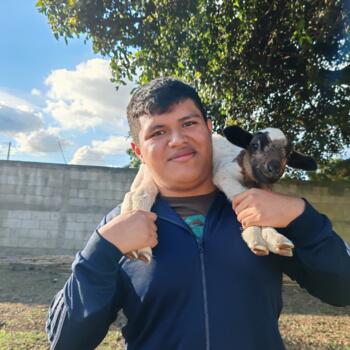 Babysitter Pastores: Miguel Estuardo