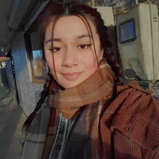 Babysitter in Temuco: Denise