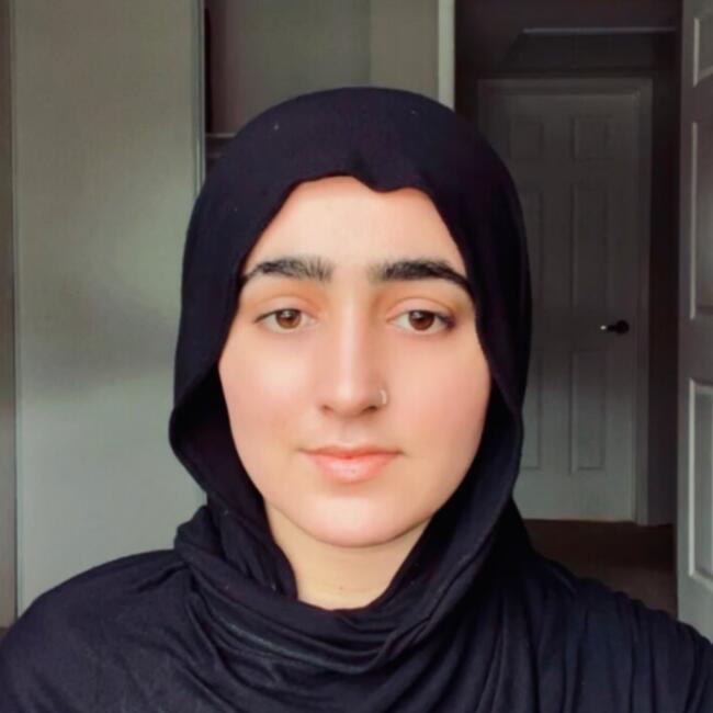 Babysitter in Carmichael (California): Wajiha